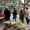 Kolibki 2012