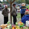 Kolibki 2012